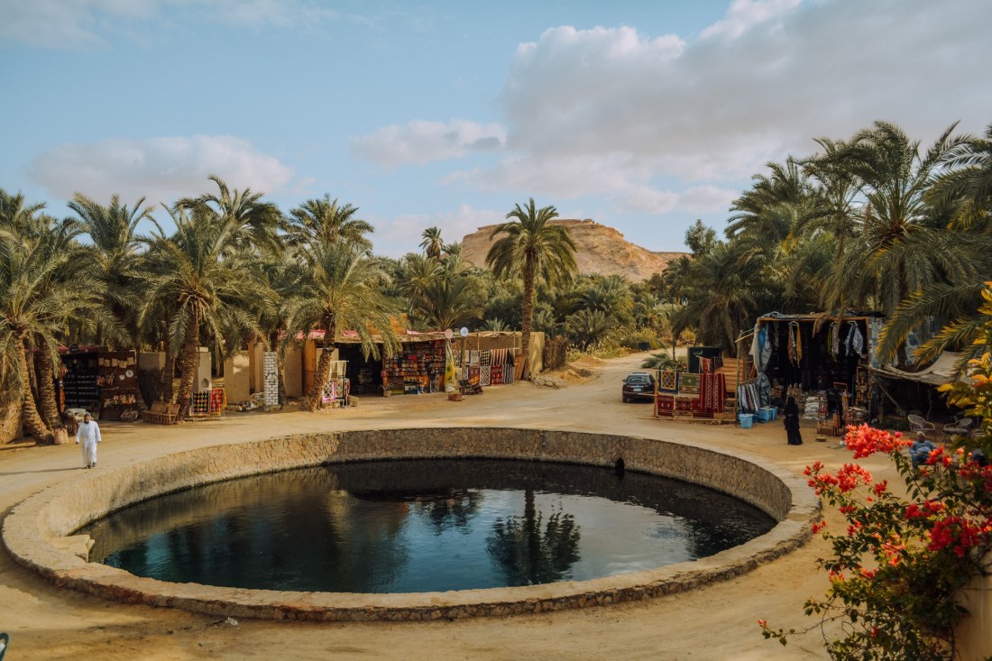 Siwi, Dialek Lokal Mesir yang Terancam Punah